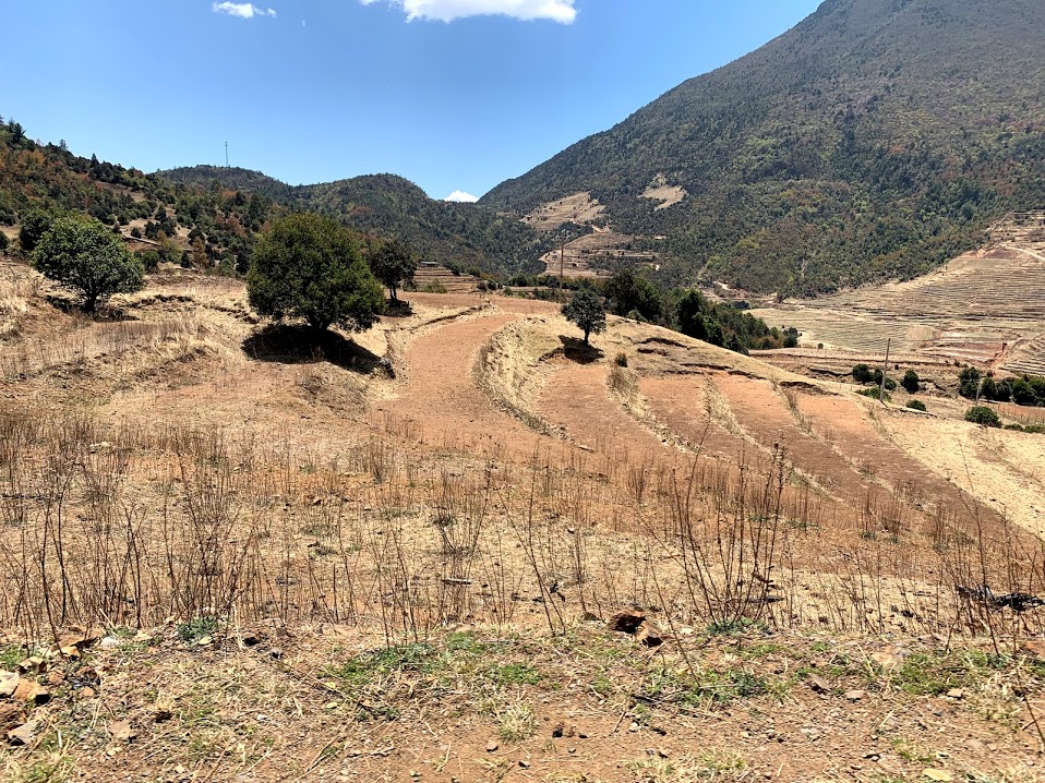 Abandoned Terraces